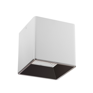 Master C surface